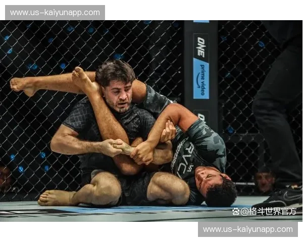 宿命的三部曲：当“柔术之神”温顿遇上“荷兰毁灭者”锤子，谁才是重量级的智力天花板？